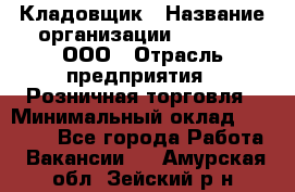 Кладовщик › Название организации ­ O’stin, ООО › Отрасль предприятия ­ Розничная торговля › Минимальный оклад ­ 17 200 - Все города Работа » Вакансии   . Амурская обл.,Зейский р-н